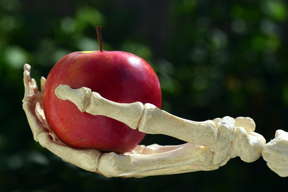 毒リンゴを持つ骸骨の手のひら