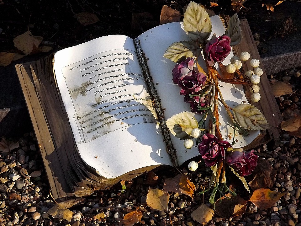 枯葉の上に置かれた本とドライフラワー